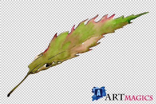 Autumn chestnut PNG watercolor plant - 3095171