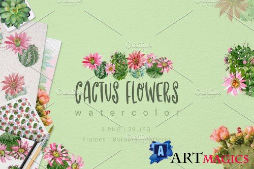 Cactus flowers watercolor set - 3099135