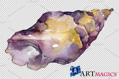Shells Watercolor png - 3819299