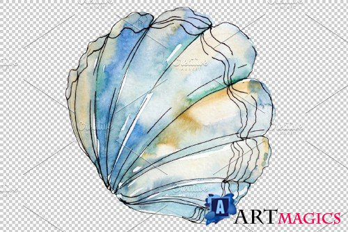 Sea shells watercolor png - 3819590