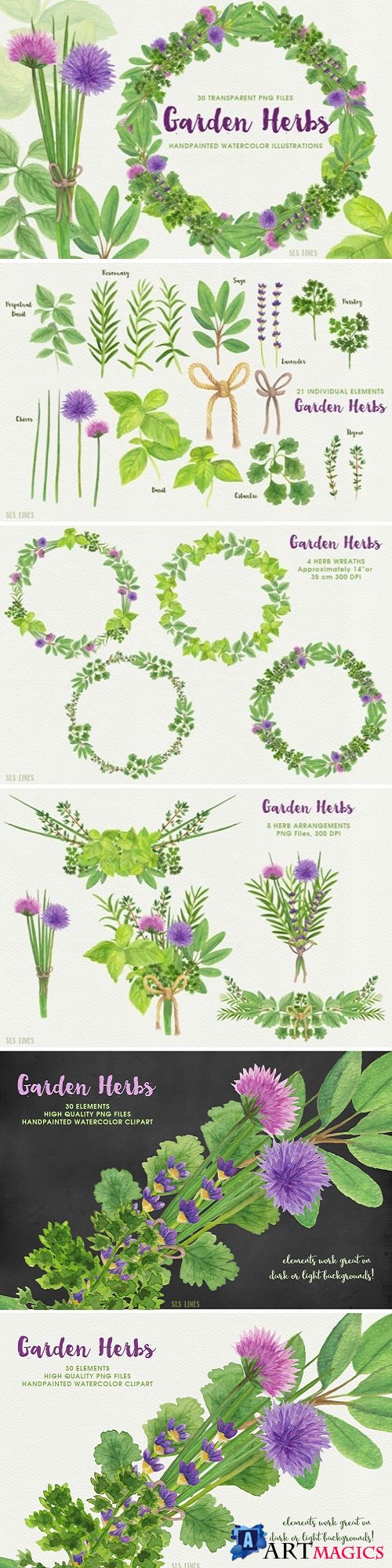 Herb Garden Watercolor Illustrations - 1552811
