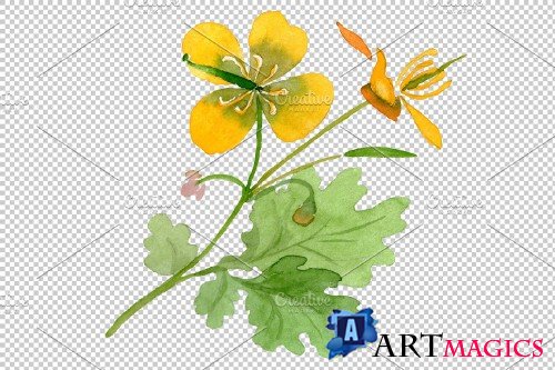 Herbals Watercolor png - 3819624