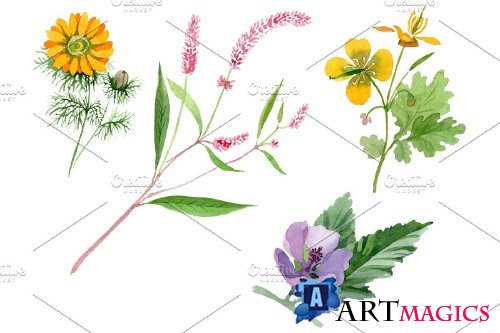 Herbals Watercolor png - 3819624