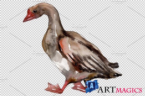 Farm animals: geese Watercolor png - 3836189