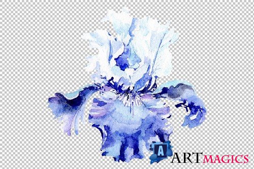 Irises blue Summer sky watercolor - 3836980