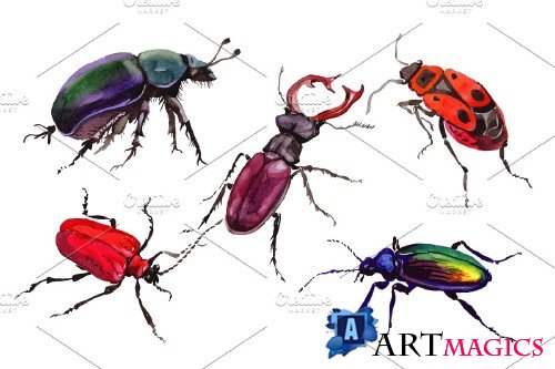 May beetle ordinary watercolor png - 3837345