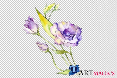 Delicate eustoma flower PNG set - 3100071