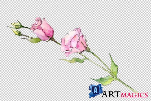 Delicate eustoma flower PNG set - 3100071