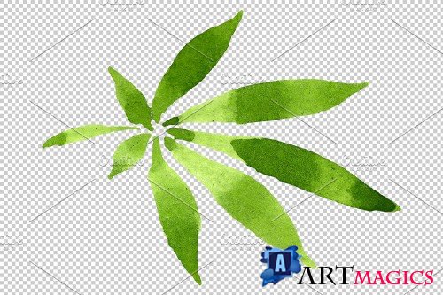 Leaves hemp plant watercolor png - 3844037