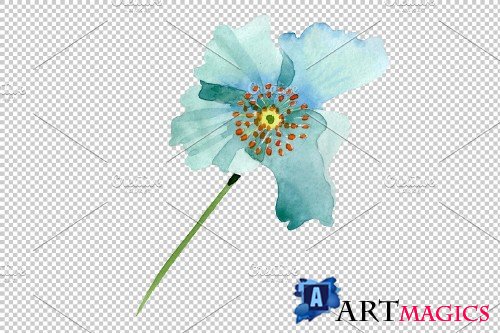 Turquoise poppy Watercolor png - 3844235