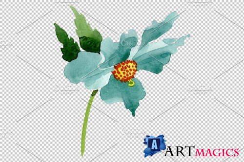 Turquoise poppy Watercolor png - 3844235