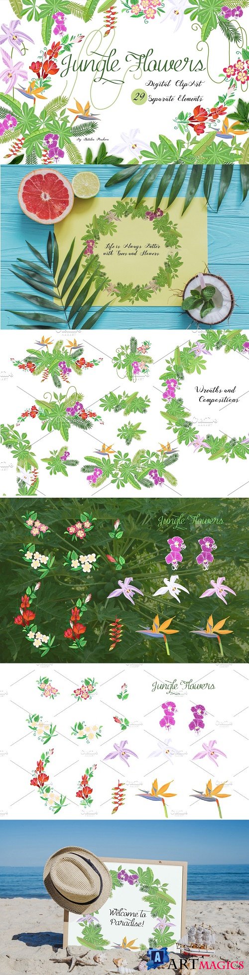 Jungle clipart with flowers - 3686966