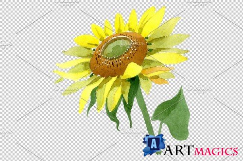 Bright yellow sunflower watercolor - 3851139