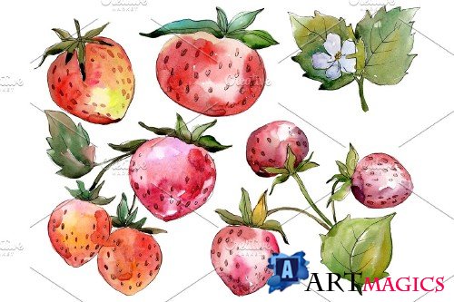 Strawberry Queen Elizabeth watercor - 3865113