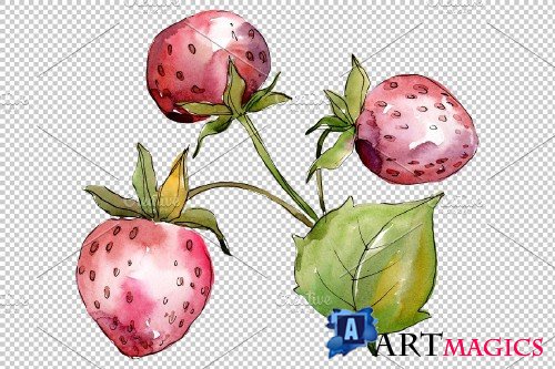 Strawberry Queen Elizabeth watercor - 3865113