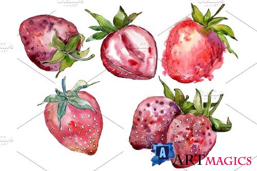 Strawberry cultivar "Malvina" - 3864982