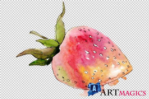 Strawberry "Gigantella" watercolor - 3864825