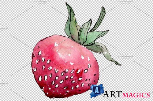 Strawberry "Gigantella" watercolor - 3864825
