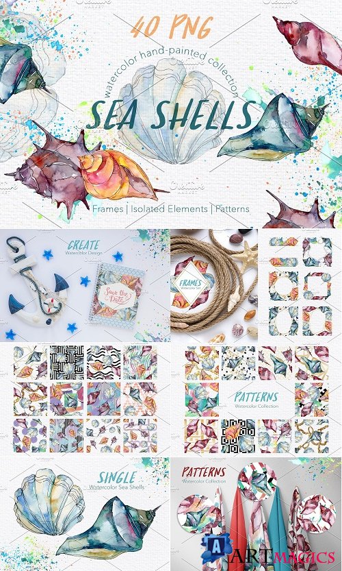 Sea Shells Watercolor png - 3864569
