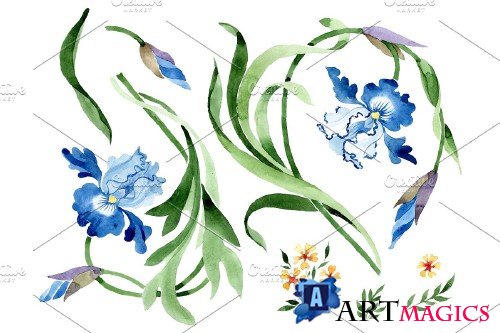 Ornament with irises Watercolor png - 3869905