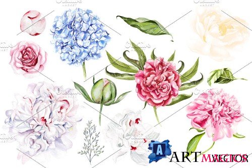 Watercolor Blooming Peony&Hudrangea - 3868446