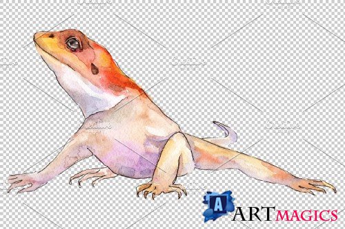 Animal iguaana watercolor png - 3883205