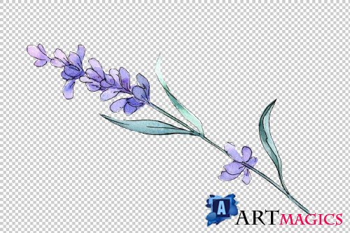 Plant lavender watercolor png - 3884828