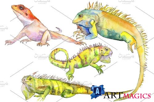 Animal iguaana watercolor png - 3883205