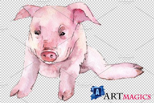 Animal pig watercolor png - 3884659