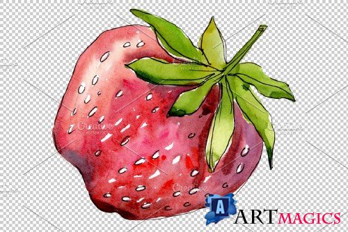 Strawberry "Alba" watercolor png - 3886170