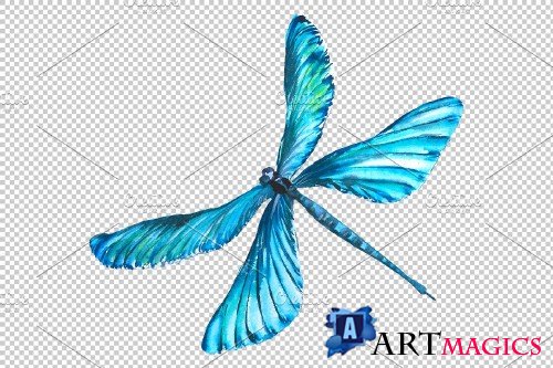 Original dragonfly blue watercolor - 3884806