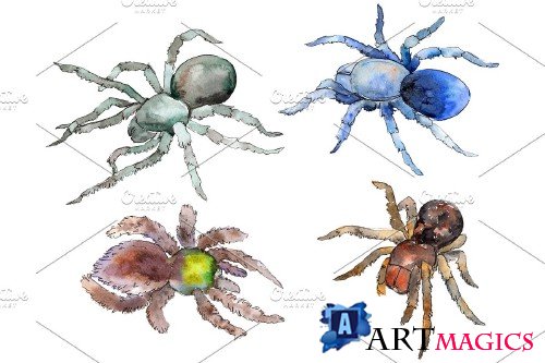 Tarantula exotic watercolor png - 3884539