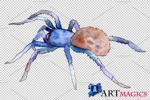Animal World tarantula watercolor - 3883407