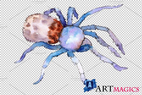 Animal World tarantula watercolor - 3883407