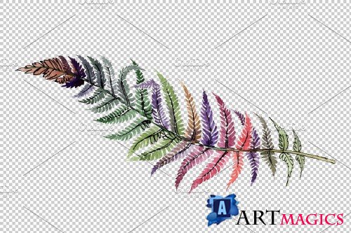 Fern plant watercolor png - 3884647