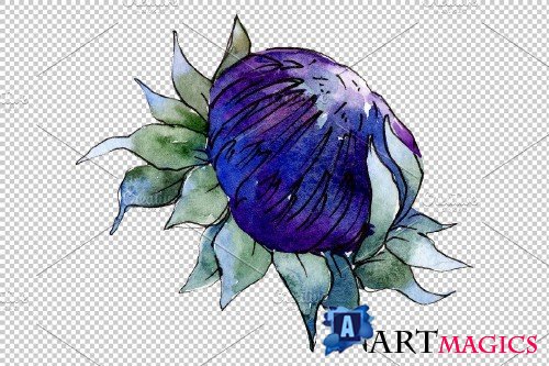 Watercolor thistle png - 3884625