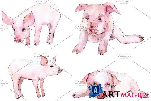 Animal pig watercolor png - 3884659