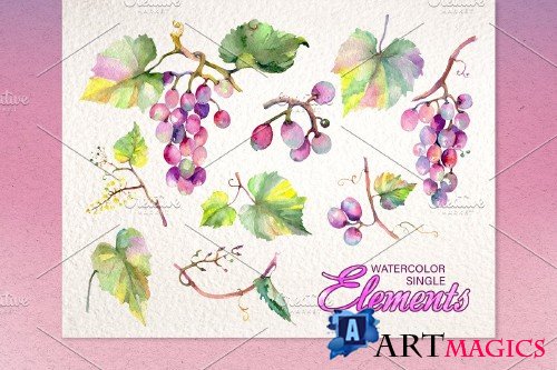 Grapes Watercolor png - 3882945