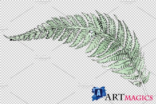 Fern plant watercolor png - 3884647