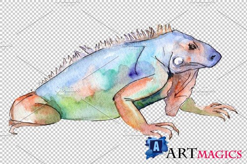 Animal world iguaana watercolor png - 3883283