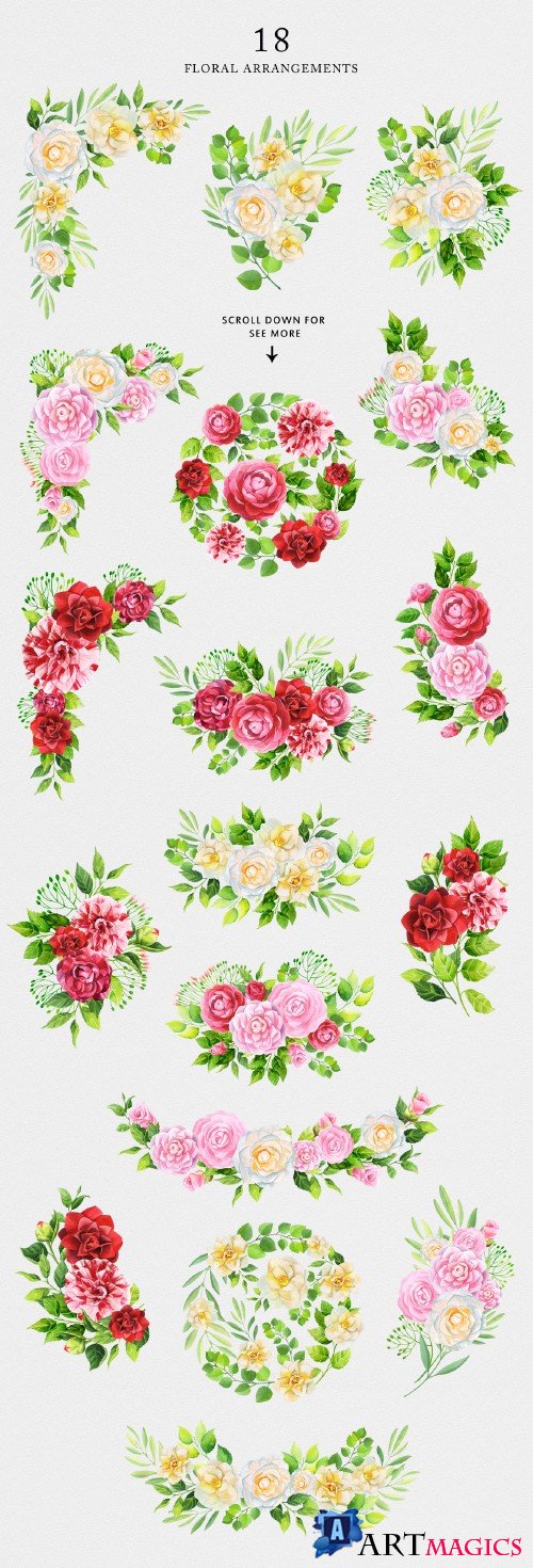 Camellia Watercolor Collection 80465
