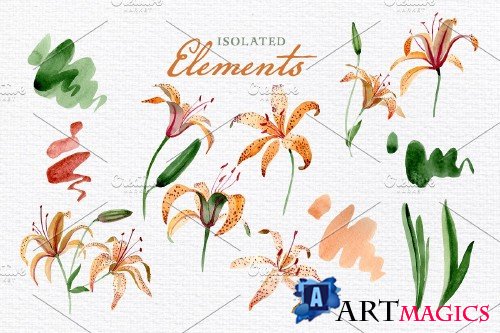 Orange lily Watercolor png - 3882999