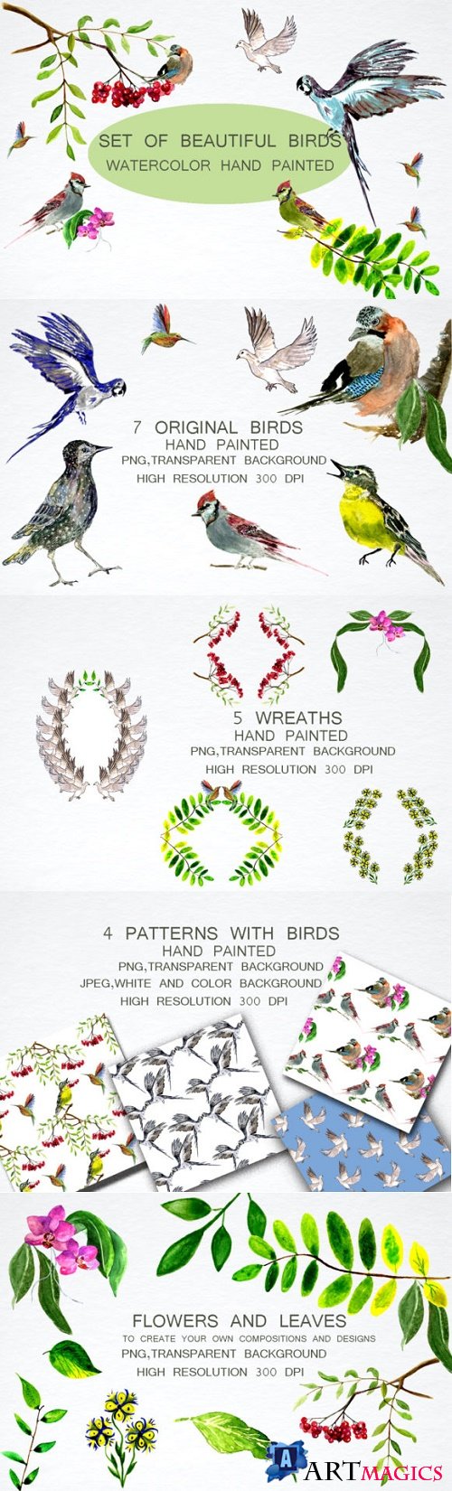 Set of Beautiful Birds