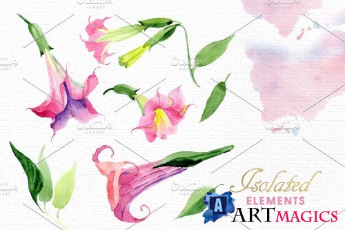 Pink Brugmansia Watercolor png - 3889965