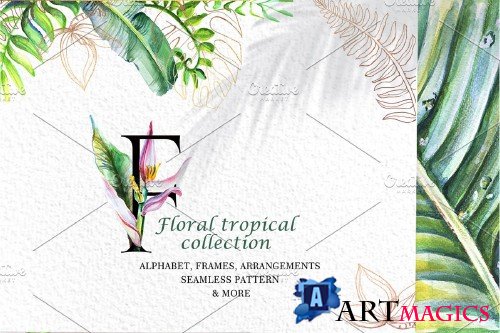Floral Tropical Collection 3565227