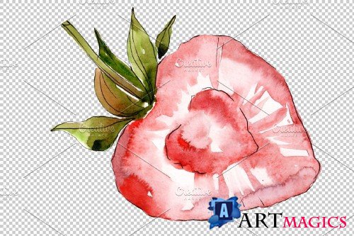 Strawberry red Watercolor png - 3897304