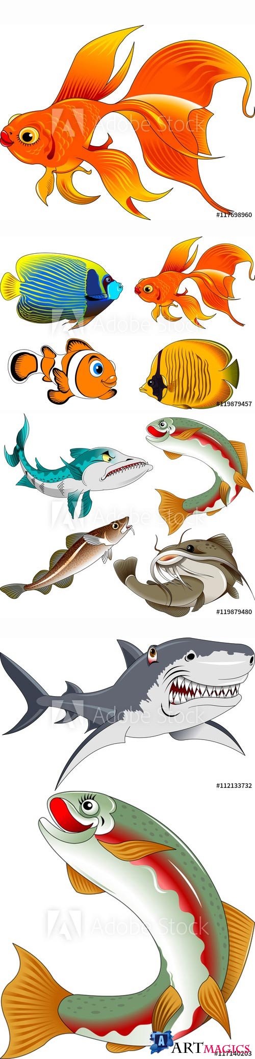Collection of beautiful fish in a vector and illustration