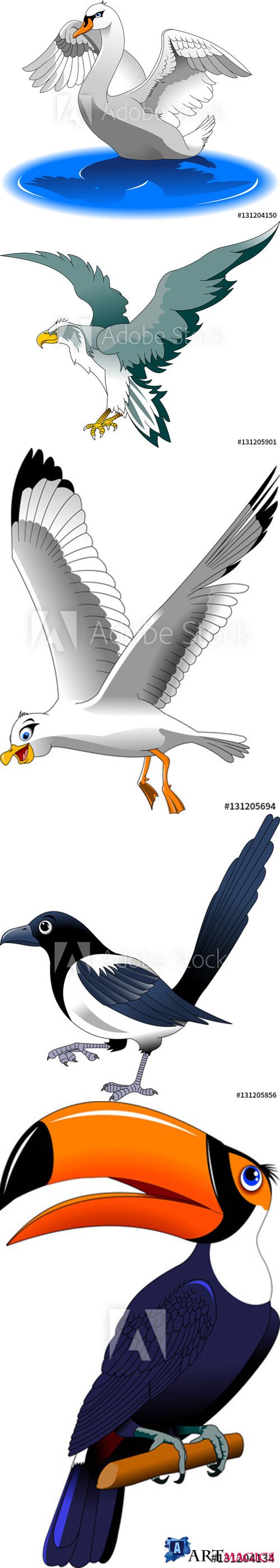 Collection of beautiful birds in a vector and illustration