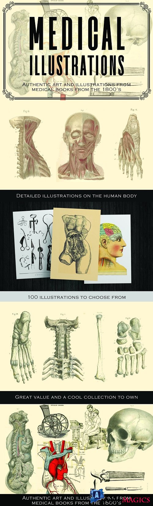 100 Vintage Medical Illustrations - 3896654