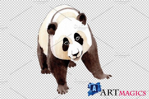 Animal panda watercolor png - 3899654